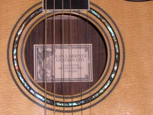 View the album Larrivee Custom DV-09 Brazilian