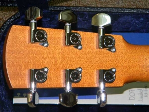 View the album Larrivee D-09 Brazilian Rosewood