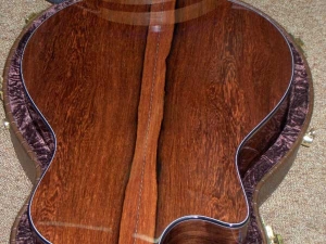 View the album Taylor Custom GSCE, Madagascar & Englemann--I went to a wonderful home! Hooray!