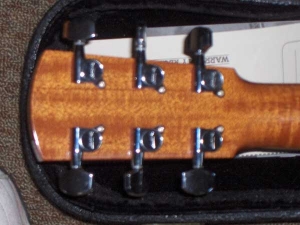 View the album Larrivee L-10, Special Edition