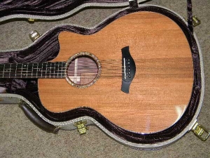 View the album Custom R. Taylor Style 1, Madagascar/Sinker Redwood