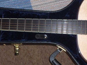 Larrivee Custom L-09, Lacewood-10