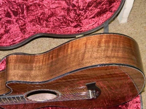 View the album Taylor GCCE, Premium All-Claro Walnut Top, Back & Sides, 12-Fret