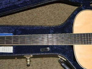 View the album Larrivee OM-09 Custom Brazilian Rosewood, Sn #107426