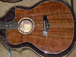 View the album Taylor GSCE, Premium All-Claro Walnut Top, Back & Sides--SOLD