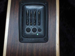 View the album Larrivee LV-03E, Rosewood