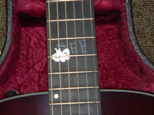 Taylor Steven Curtis Chapman Signature Model-GA-a