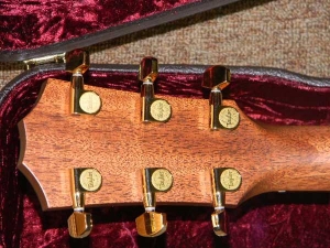 Taylor Steven Curtis Chapman Signature Model-GA-b
