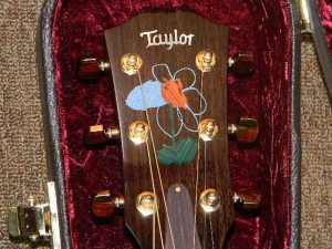 Taylor Steven Curtis Chapman Signature Model-GA-g
