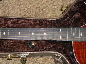 View the album Taylor Custom GSCE, Florentine Cutaway, Set #2