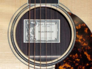 View the album Larrivee 000-60