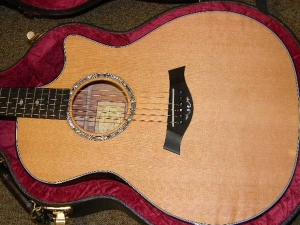 View the album Taylor GACE, Secret Palo Escrito Rosewood, Set #21--SOLD