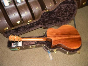 View the album Taylor GSCE, Secret Palo Escrito Rosewood, Set #19--SOLD!
