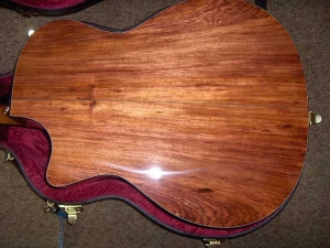 View the album Taylor GACE, Secret Palo Escrito Rosewood, Set #20