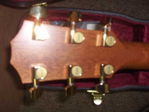 View the album Taylor GACE, Secret Palo Escrito Rosewood, Set #20