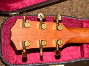 View the album Taylor Custom GACE, Secret Palo Santo Brazilian Rosewood, Set #18