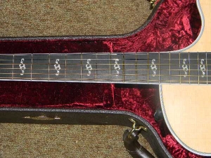 Taylor 814 Ce, Fall 2010 Limited Edition-g