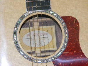 Taylor 814 Ce, Fall 2010 Limited Edition-h