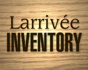 larrivee_inventory.jpg