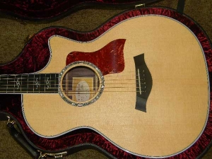 Taylor 814 Ce, Fall 2010 Limited Edition-i