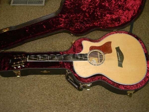 Taylor 814 Ce, Fall 2010 Limited Edition-j