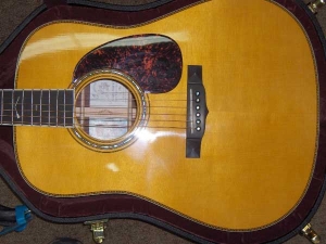 View the album Martin CSN Special Edition