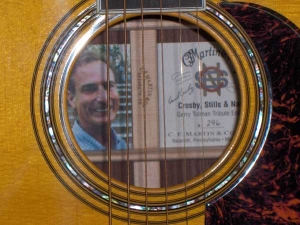 View the album Martin CSN Special Edition