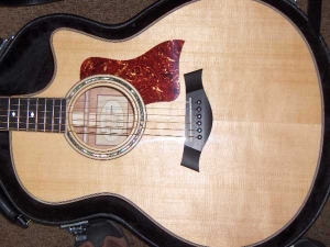View the album Taylor 416 CE, Spring Limited #4, Tasmanian Blackwood/Sitka Spruce - SOLD