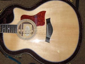 View the album Taylor 416 CE, Fall 2009 Limited, Rosewood & Spruce - SOLD!