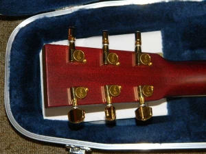 View the album Martin GPCPA Mahogany