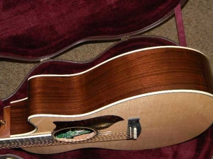View the album Martin GPCPA2