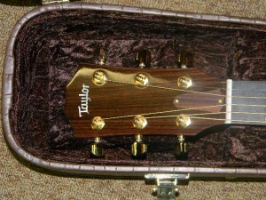View the album Taylor 516 CE, Koa - SOLD