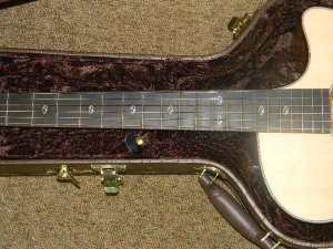 View the album Taylor 516 CE, Koa - SOLD
