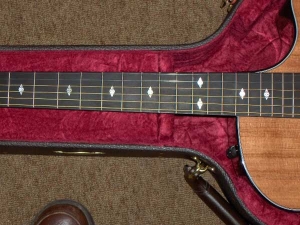 View the album Taylor Custom GACE, Secret Amazon Rosewood, Set #4 - SOLD