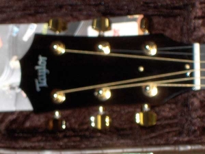 View the album Taylor Custom GSCE, Secret Amazon Rosewood, Set #10 - SOLD