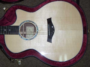 View the album Taylor Custom GACE, Secret Amazon Rosewood, Set #11 - SOLD