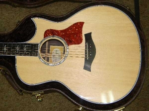 View the album Taylor 816 CE, Florentine Cutaway - SOLD