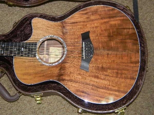 View the album Taylor GSCE 12-String, Secret Grafted Walnut Top, Set #28 - SOLD