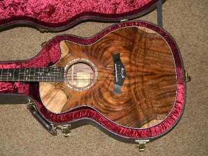 View the album Taylor GACE, Wild Walnut - SOLD