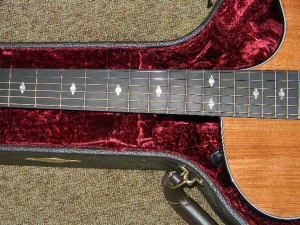 View the album Taylor GACE, Redwood/Rosewood - SOLD