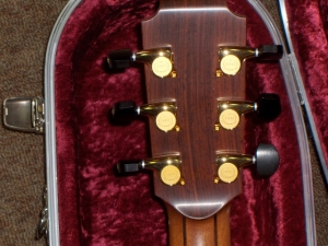 Lowden O50 Custom0017.JPG