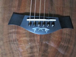 View the album Taylor GACE Claro Walnut