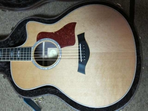 View the album Taylor 816CE, Cedar
