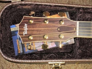 View the album Taylor 816CE, Cedar
