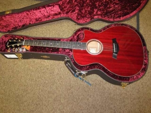 Taylor GACE LTD, All-Mahogany, Spring 2011 Limited Editions