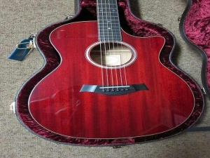 Taylor GACE LTD, All-Mahogany, Spring 2011 Limited Editions