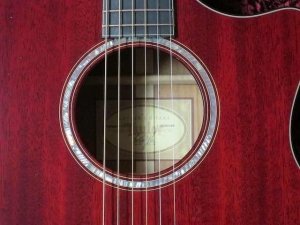 Taylor GACE LTD, All-Mahogany, Spring 2011 Limited Editions
