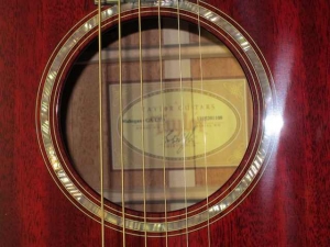 Taylor GACE LTD, All-Mahogany, Spring 2011 Limited Editions