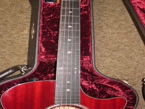 Taylor GACE LTD, All-Mahogany, Spring 2011 Limited Editions