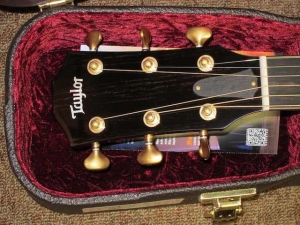 Taylor GACE LTD, All-Mahogany, Spring 2011 Limited Editions